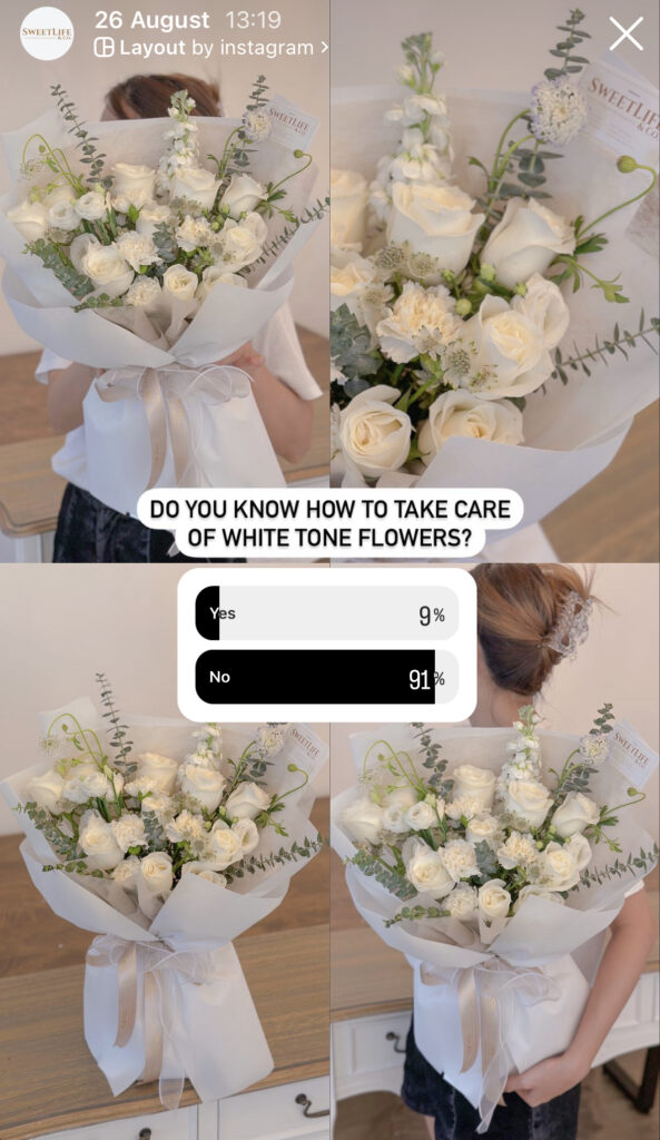 Survey result shows 91% of people do not know how to take care of white roses