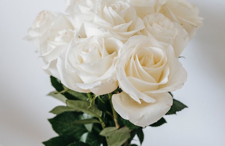 white roses